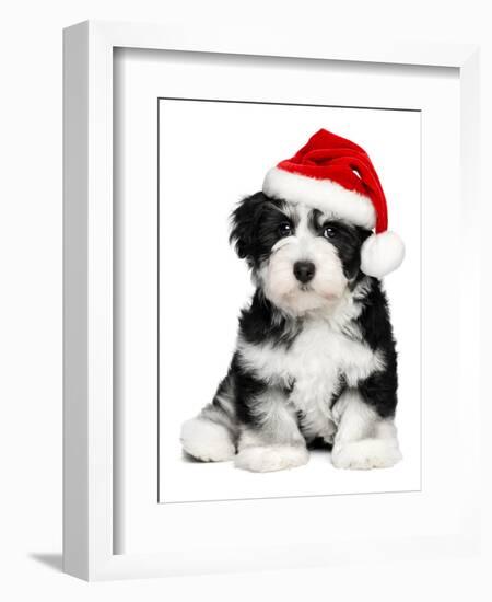 Cute Christmas Havanese Puppy Dog with a Santa Hat-mdorottya-Framed Photographic Print