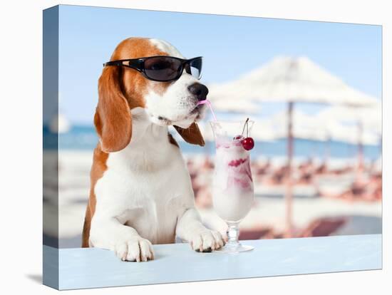 Cute Dog in Sunglasses Drink Cocktail-igorr-Stretched Canvas
