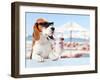 Cute Dog in Sunglasses Drink Cocktail-igorr-Framed Photographic Print