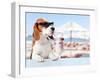 Cute Dog in Sunglasses Drink Cocktail-igorr-Framed Photographic Print