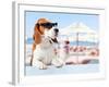 Cute Dog in Sunglasses Drink Cocktail-igorr-Framed Photographic Print