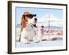 Cute Dog in Sunglasses Drink Cocktail-igorr-Framed Photographic Print