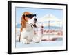 Cute Dog in Sunglasses Drink Cocktail-igorr-Framed Photographic Print