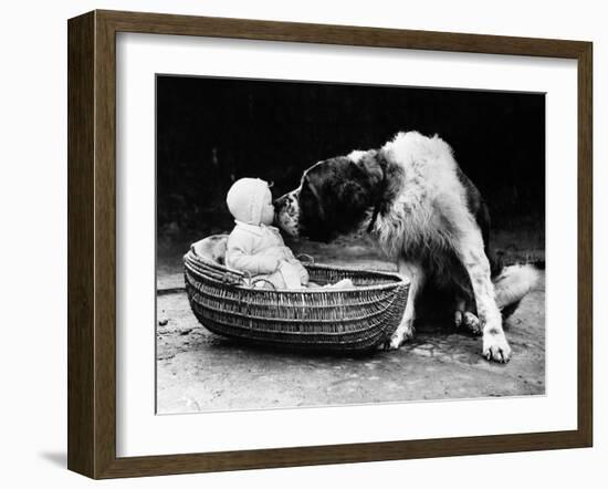 Cute Dog Licking Baby Girl (6-11 Moths) Sitting in Basket-null-Framed Photographic Print