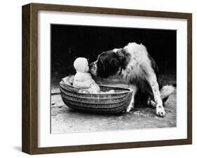 Cute Dog Licking Baby Girl (6-11 Moths) Sitting in Basket-null-Framed Photographic Print