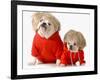 Cute Dogs Wearing Exercise Clothing - English and French Bulldogs-Willee Cole-Framed Photographic Print