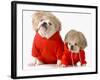Cute Dogs Wearing Exercise Clothing - English and French Bulldogs-Willee Cole-Framed Photographic Print