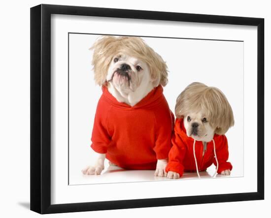 Cute Dogs Wearing Exercise Clothing - English and French Bulldogs-Willee Cole-Framed Photographic Print