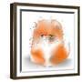 Cute Fluffy Persian Cat-Elena Barenbaum-Framed Art Print