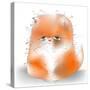 Cute Fluffy Persian Cat-Elena Barenbaum-Stretched Canvas