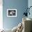 Cute Fox-null-Framed Photographic Print displayed on a wall