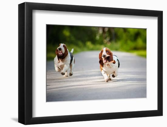 Cute Funny Dogs Basset Hound Running on the Road-Ksenia Raykova-Framed Photographic Print