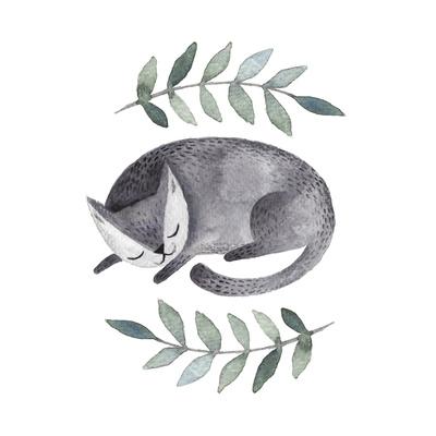 Cute Gray Sleeping Cat Watercolor Kids Illustration With Domestic Animal Sleeping Lovely Pet Han Prints Maria Sem Allposters Com