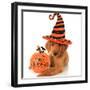 Cute Halloween Puppy with a Pumpkin-Hannamariah-Framed Photographic Print