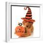 Cute Halloween Puppy with a Pumpkin-Hannamariah-Framed Photographic Print