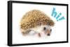 Cute Hedgehog - Hi!-Trends International-Framed Poster