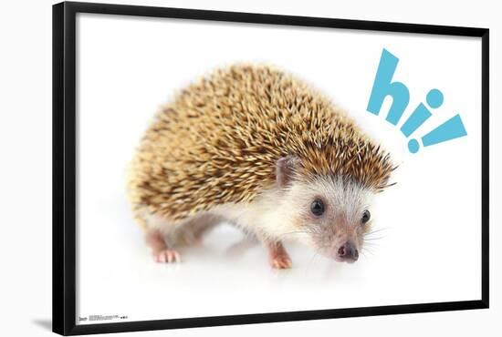 Cute Hedgehog - Hi!-Trends International-Framed Poster