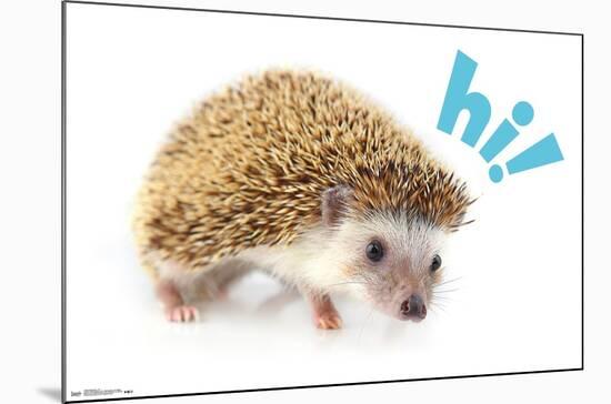 Cute Hedgehog - Hi!-Trends International-Mounted Poster