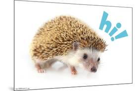 Cute Hedgehog - Hi!-Trends International-Mounted Poster