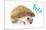 Cute Hedgehog - Hi!-Trends International-Mounted Poster