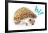 Cute Hedgehog - Hi!-Trends International-Framed Poster
