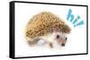 Cute Hedgehog - Hi!-Trends International-Framed Stretched Canvas