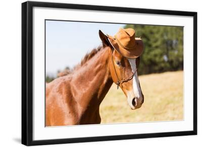 Cute Horse Wearing a Cowboy Hat 