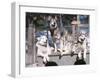 Cute Huskies in Dog Kennel-null-Framed Photographic Print