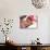 Cute Kid Helping in Making Cupcake with Shallow Depth of Field-zurijeta-Photographic Print displayed on a wall