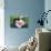 Cute Kitten with Pink Flower-null-Photographic Print displayed on a wall