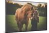 Cute Little Girl with Her Horse on a Lovely Meadow Lit by Warm Evening Light-l i g h t p o e t-Mounted Photographic Print