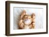 Cute Little Red Kitten Sleeps on Fur White Blanket-Alena Ozerova-Framed Photographic Print