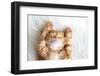 Cute Little Red Kitten Sleeps on Fur White Blanket-Alena Ozerova-Framed Photographic Print