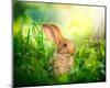 Cute Little Sunny Easter Bunny-null-Mounted Art Print