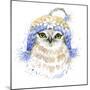 Cute Owl T-Shirt Graphics, Watercolor Forest Owl Illustration with Splash Watercolor Textured Backg-Faenkova Elena-Mounted Art Print