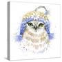 Cute Owl T-Shirt Graphics, Watercolor Forest Owl Illustration with Splash Watercolor Textured Backg-Faenkova Elena-Stretched Canvas