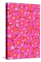 Cute Pink Blossom Pattern-Treechild-Stretched Canvas