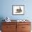 Cute Playful Tabby Kitten, Stanley, 6 Weeks Old-Mark Taylor-Framed Photographic Print displayed on a wall