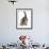 Cute Playful Tabby Kitten, Stanley, 6 Weeks Old-Mark Taylor-Framed Photographic Print displayed on a wall