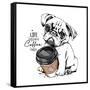 Cute Pug Puppy with a Plastic Cup of Coffee. Life Happens Coffee Helps - Lettering Quote. Humor Car-null-Framed Stretched Canvas