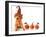 Cute Puppy Wearing a Halloween Witch Hat with Pumpkins-Hannamariah-Framed Photographic Print