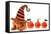 Cute Puppy Wearing a Halloween Witch Hat-Hannamariah-Framed Stretched Canvas