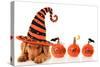 Cute Puppy Wearing a Halloween Witch Hat-Hannamariah-Stretched Canvas