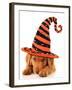 Cute Puppy Wearing a Halloween Witch Hat-Hannamariah-Framed Photographic Print