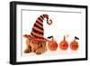 Cute Puppy Wearing a Halloween Witch Hat-Hannamariah-Framed Photographic Print