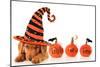 Cute Puppy Wearing a Halloween Witch Hat-Hannamariah-Mounted Photographic Print