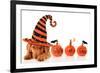 Cute Puppy Wearing a Halloween Witch Hat-Hannamariah-Framed Photographic Print