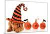 Cute Puppy Wearing a Halloween Witch Hat-Hannamariah-Mounted Photographic Print