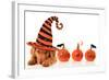 Cute Puppy Wearing a Halloween Witch Hat-Hannamariah-Framed Photographic Print