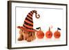 Cute Puppy Wearing a Halloween Witch Hat-Hannamariah-Framed Photographic Print